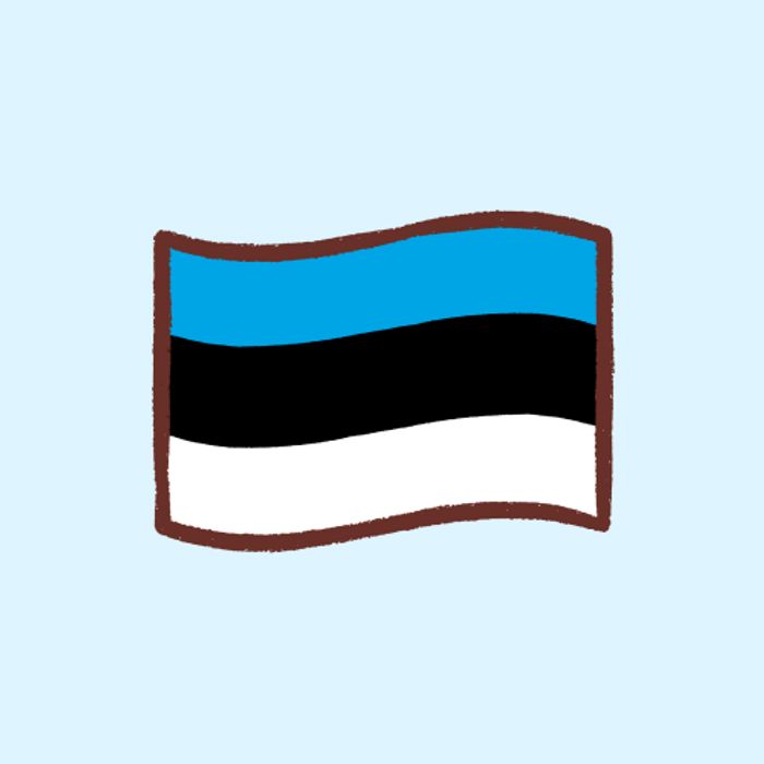 Flag Box Estonia 2x