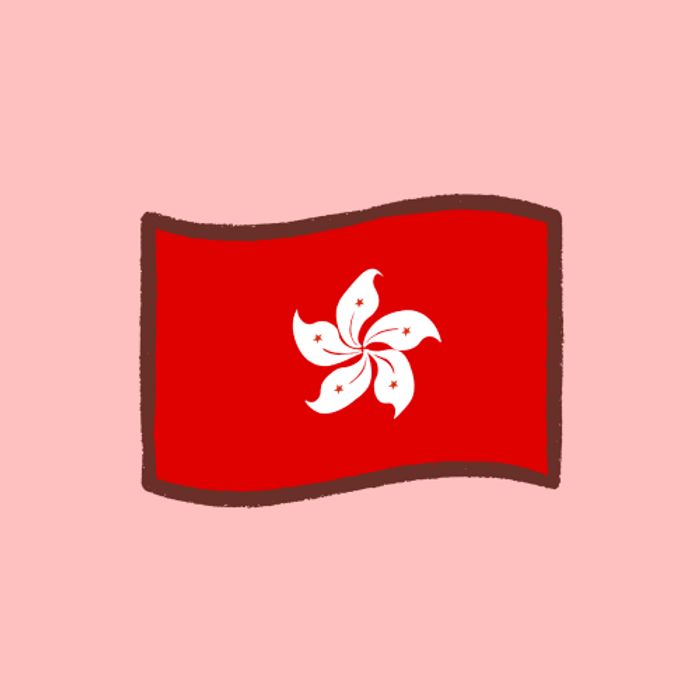 Flag Box Hong Kong 2x