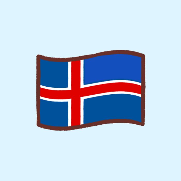 Flag Box Iceland 2x
