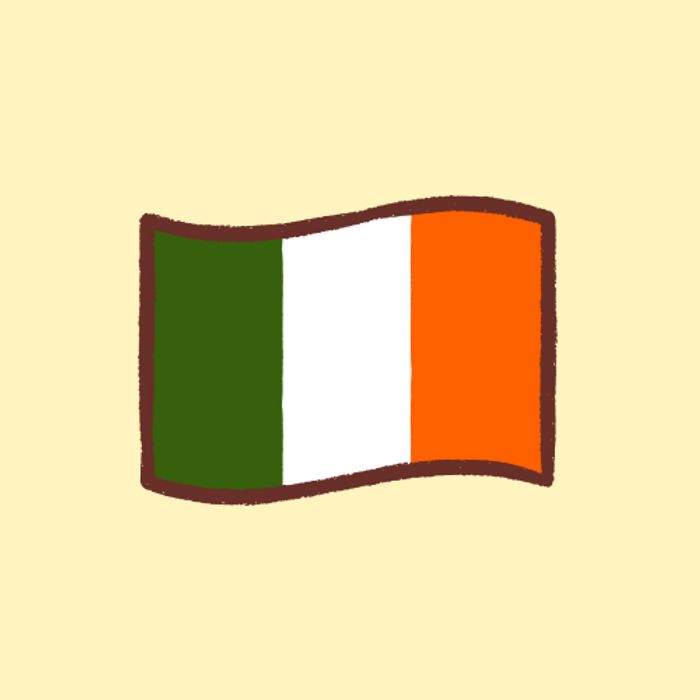 Flag Box Ireland 2x