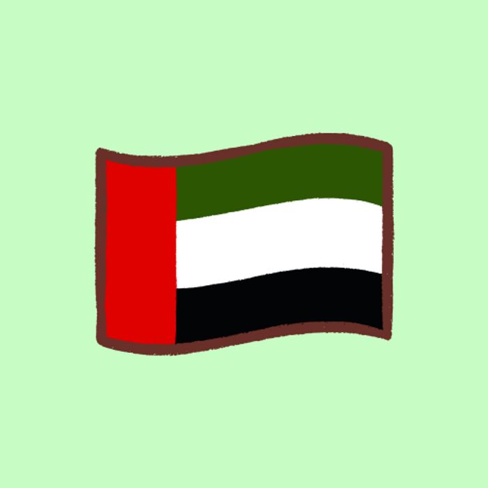 Flag Box UAE 2x