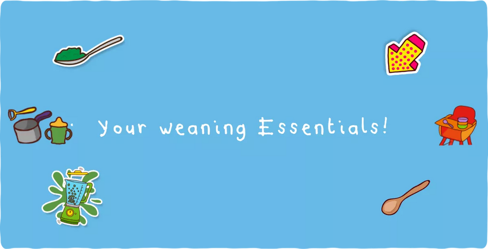 Baby best sale weaning essentials