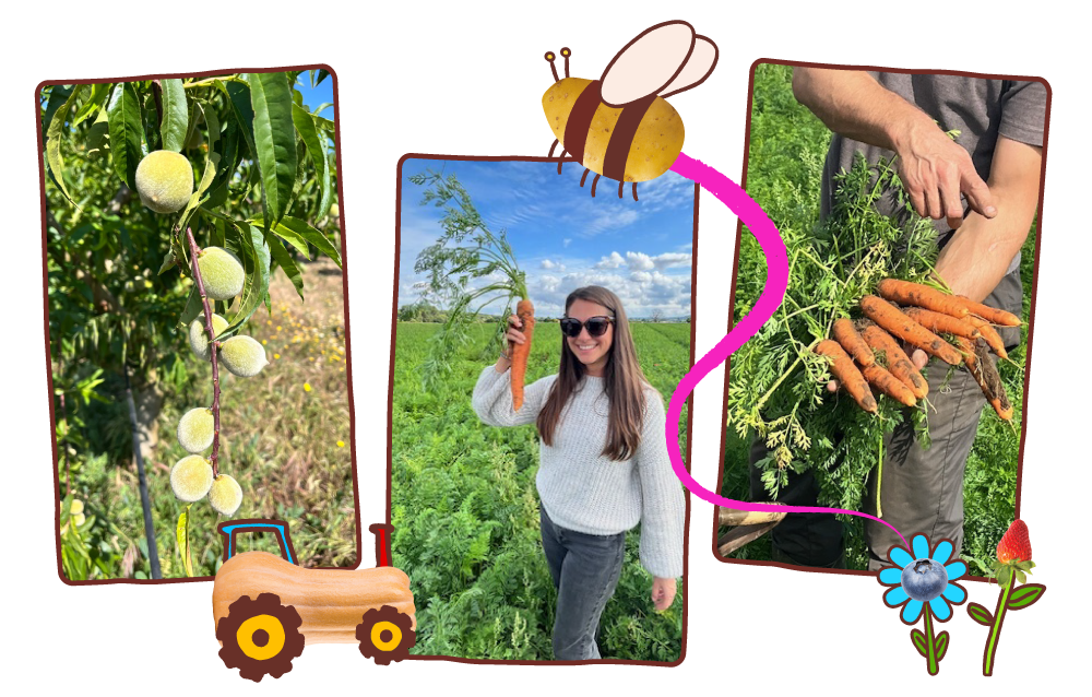 Article 3 In Feed Pics