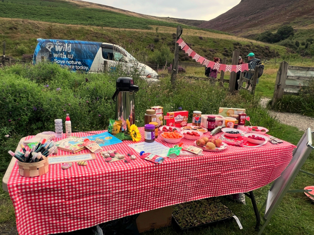 Bee less picnic 8 1 25 display 1