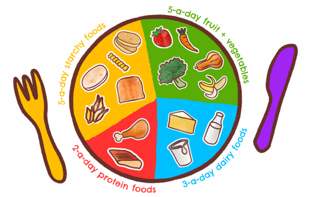 Kids Artcile Plate