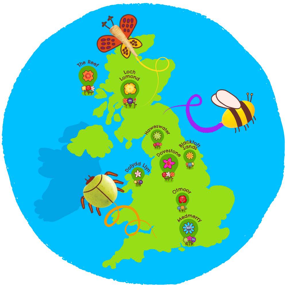 RSPB website infographic image