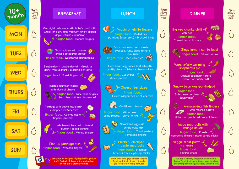 Weaning Planners 2026 NEW 10 months