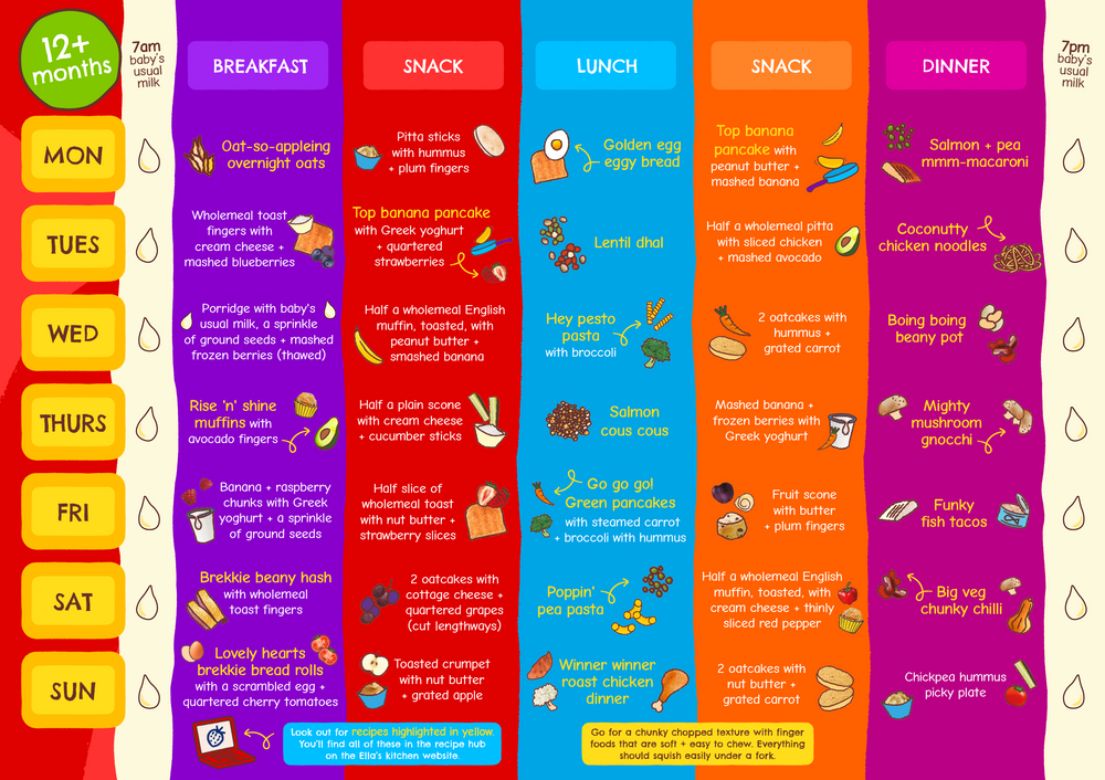 Weaning Planners 2026 NEW 12 months