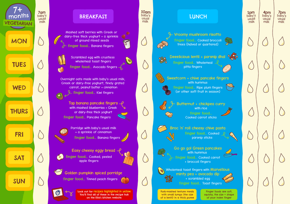 Weaning Planners 2026 NEW 7 months veggie