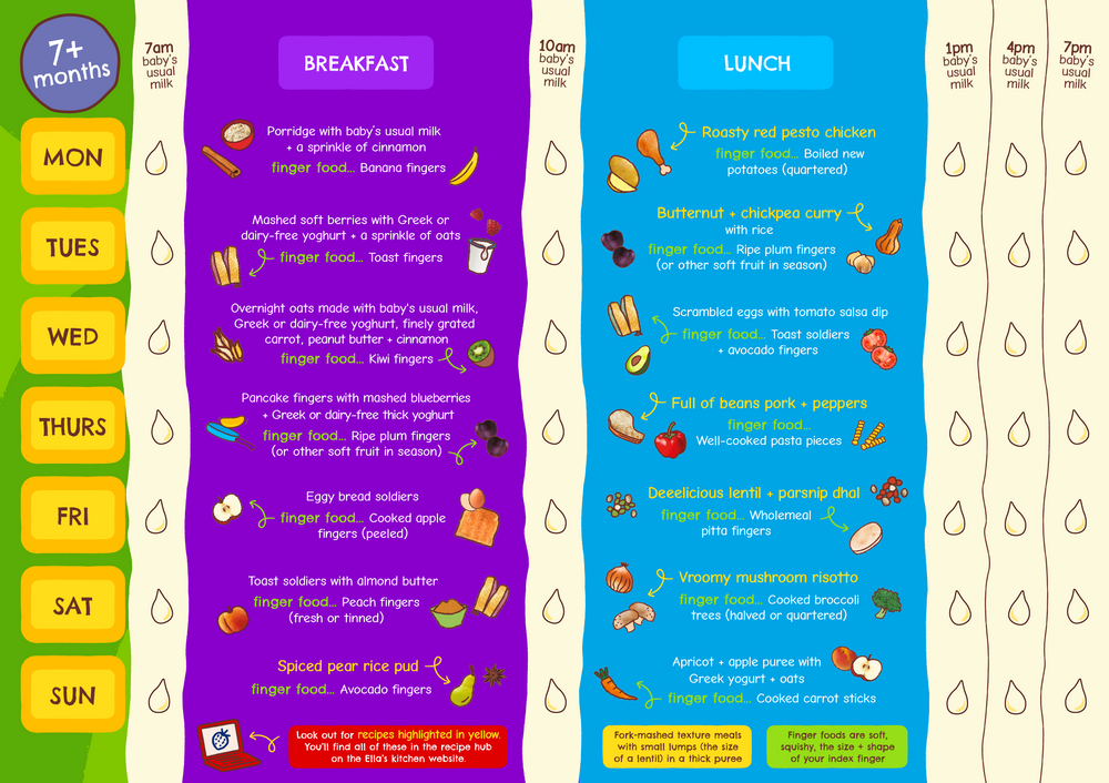 Weaning Planners 2026 NEW 7 months