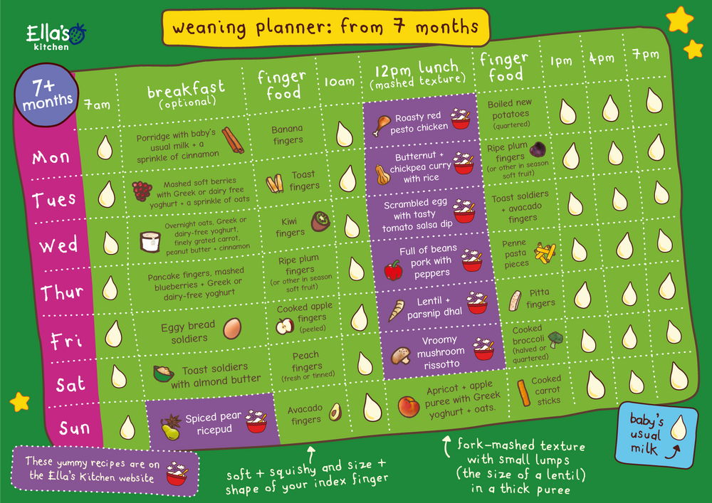 Feeding plan for 6 month best sale old baby