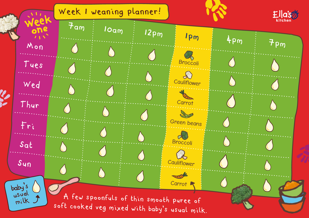 6 month old weaning 2024 plan