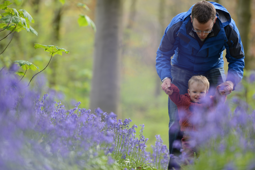 Father and son in bluebell woodlands lp