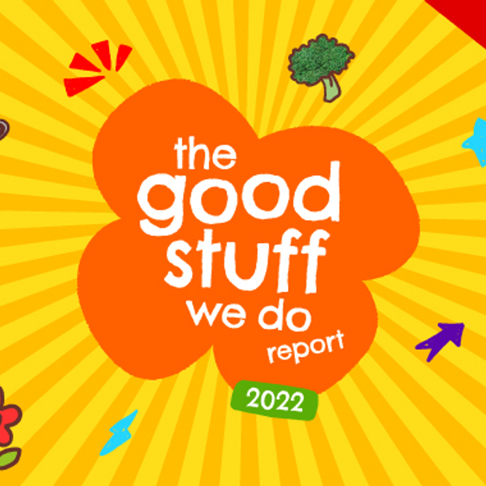 GSWD Report Launch Overview Card