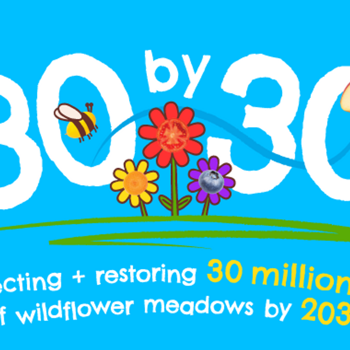 RSPB website overview card image