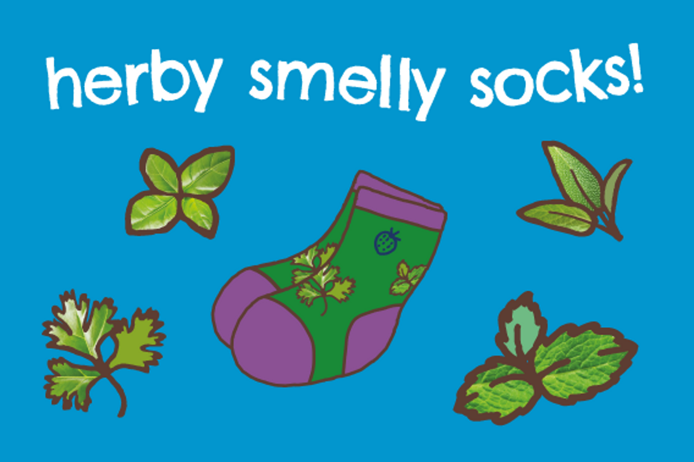 Herby smelly socks sensory fun