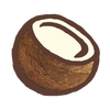 Coconut