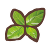 Basil