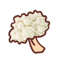 EK Foodle Cauliflower