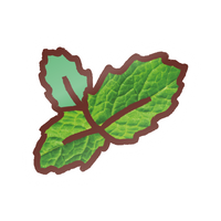 EK Foodle Mint Sticker