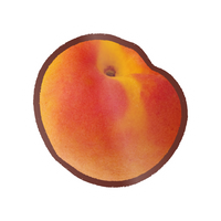 EK Foodles Apricot Sticker
