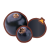 EK Foodles Blackcurrant Sticker