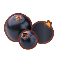 EK Foodles Blackcurrant Sticker