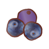 EK Foodles Blueberries Sticker