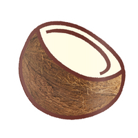 EK Foodles Coconut Sticker