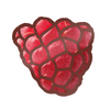 EK Foodles Raspberry Sticker