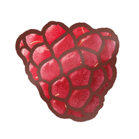 EK Foodles Raspberry Sticker