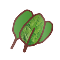 EK Foodles Spinach Sticker