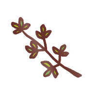 EK Foodles Thyme Sticker