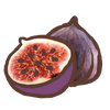 Fig