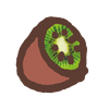 Kiwi fruit
