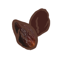 Raisin