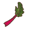 Rhubarb